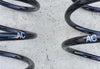 NEU Satz Fahrwerksfedern Hinterachse AC Original Opel Corsa D 93188900