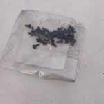NEU NOS 1 Satz 20 Schrauben Zierleiste Dachrahmen Original Opel Senator B