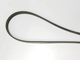 NEU Keilriemen Keilrippenriemen 21.36 x 2020mm Original Opel Omega B