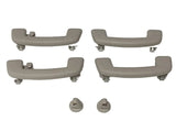 Haltegriff Set vorne hinten rechts links perlgrau Orig VW Golf VII 7 Touran II