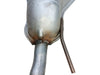 NEU Endschalldämpfer Auspufftopf hinten Original Opel Astra G CC