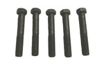 NEU 5x Bolzen Abdeckung automatische Freilaufnabe Original Opel Frontera A